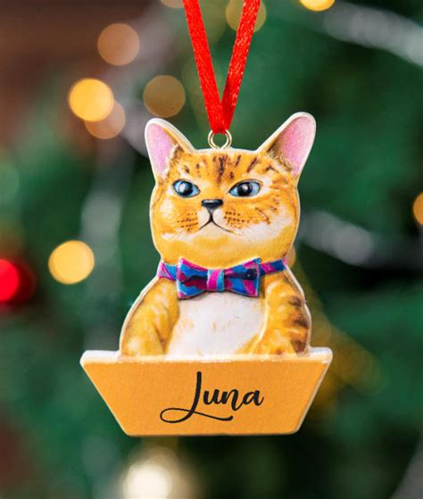 personalized ornaments with cats